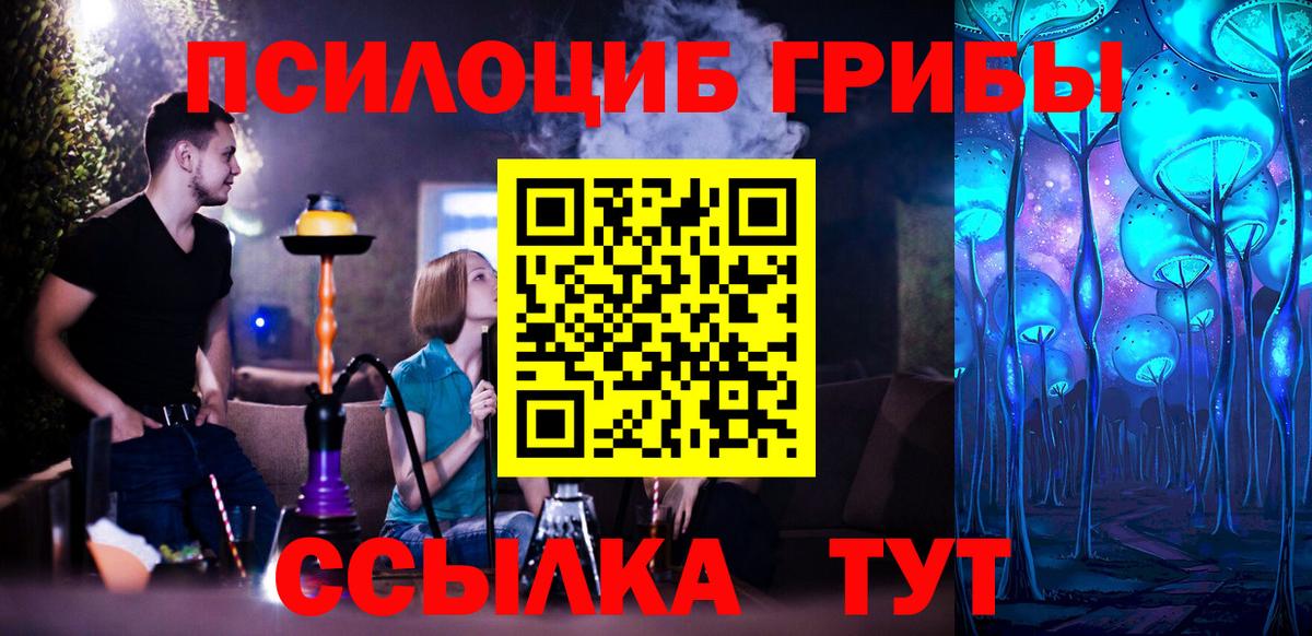 Псилоцибиновые грибы прущие грибы Печора